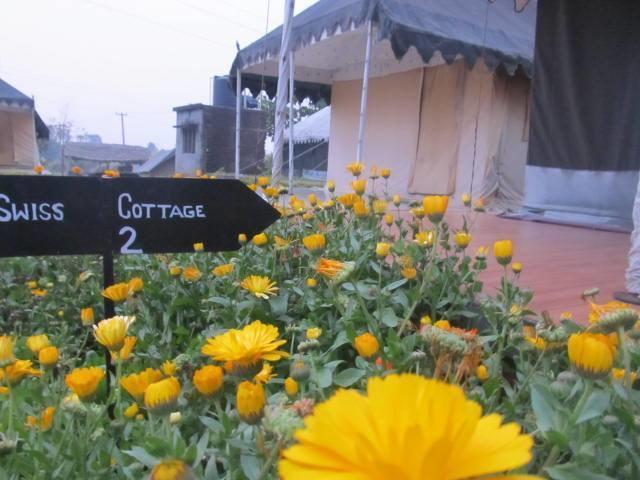 Derra Camp And Resort Jhājra Eksteriør billede